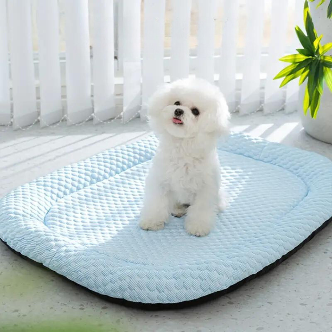 Łóżko dla psa z pianką memory, oddychające i łatwe do prania – wygodne i funkcjonalne, idealne dla wszystkich ras 2