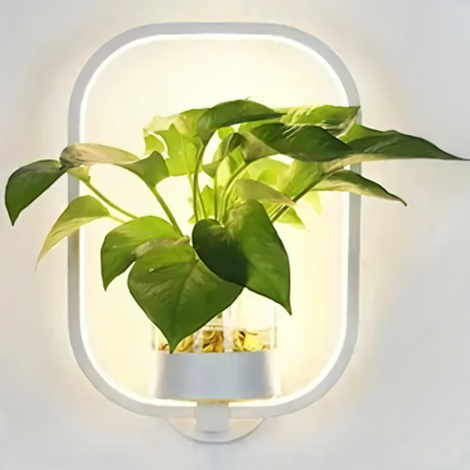 Nowoczesny Kinkiet LED Ścienny z Doniczką na Rośliny w Czerni – Kinkiet do Sypialni i Salonu, Minimalistyczny Design 11