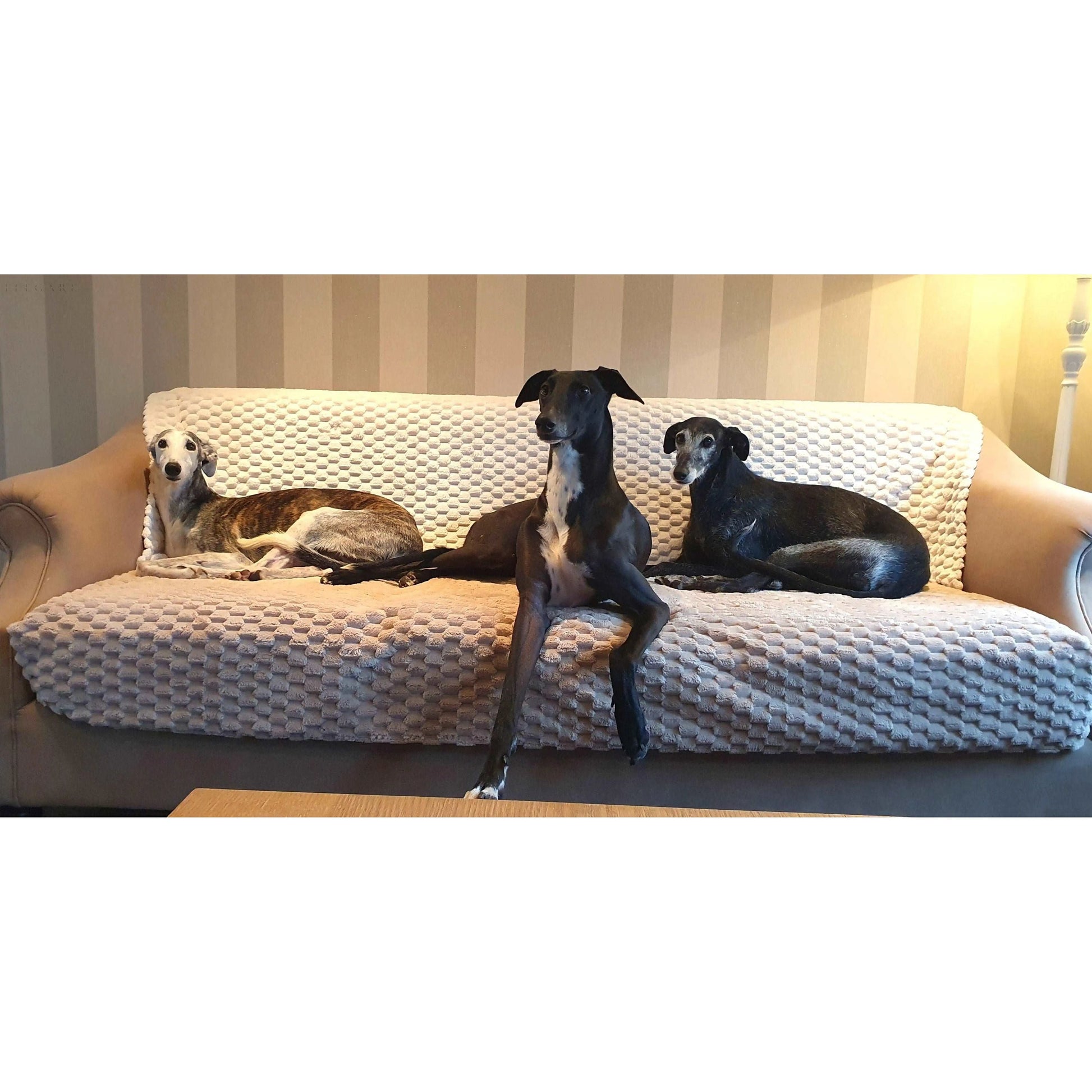 Antypoślizgowy pokrowiec na sofę Romy – Wysokiej jakości uniwersalny pokrowiec na kanapę, wodoodporny i łatwy w praniu 3