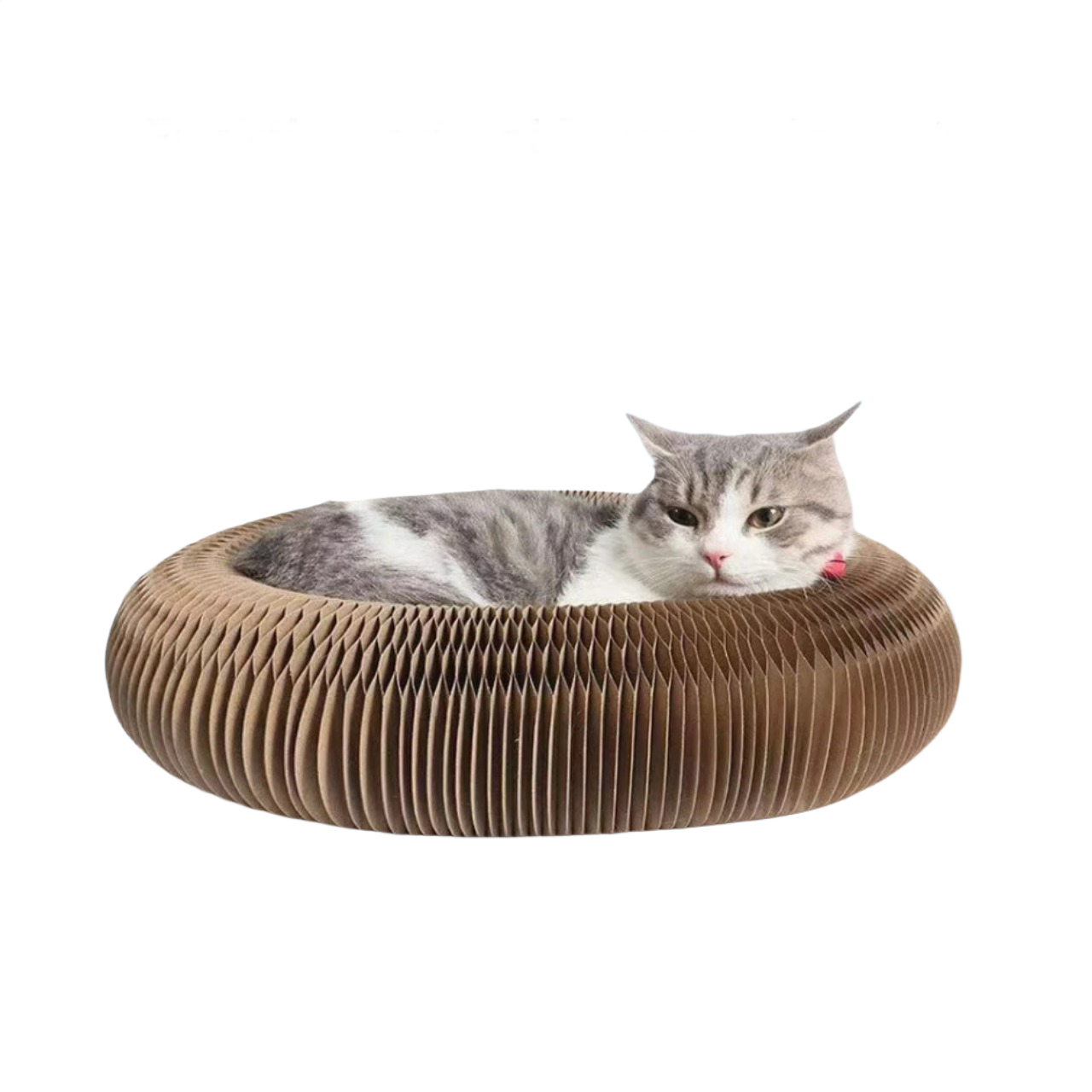 Interaktywna Zabawka dla Kotów z Ruchomą Myszką – Zabawki Dla Kotów, Aktywna Arena Zabawowa