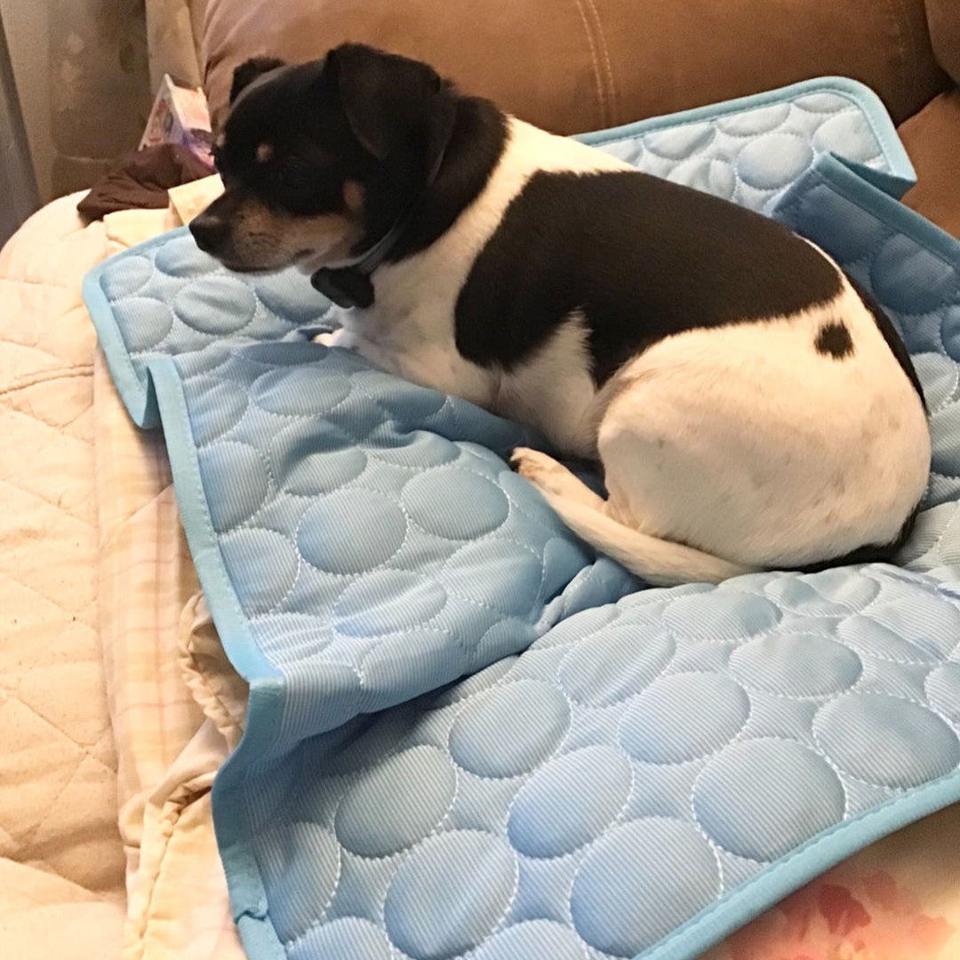 Mata Chłodząca dla Psa, Składana i Łatwa do Prania, Idealna do Samochodu i na Wakacje, Bezpieczne Materiały, Komfort w Upalne Dni 2