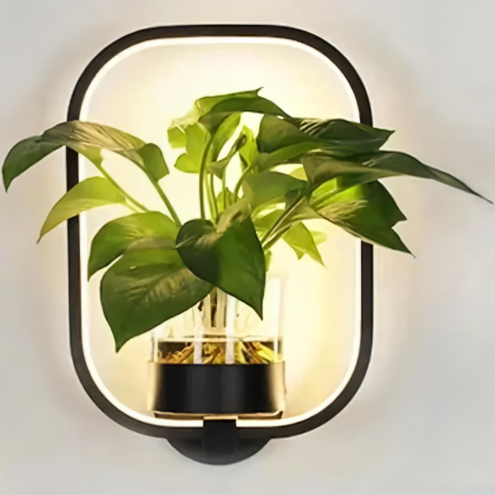Nowoczesny Kinkiet LED Ścienny z Doniczką na Rośliny w Czerni – Kinkiet do Sypialni i Salonu, Minimalistyczny Design 9