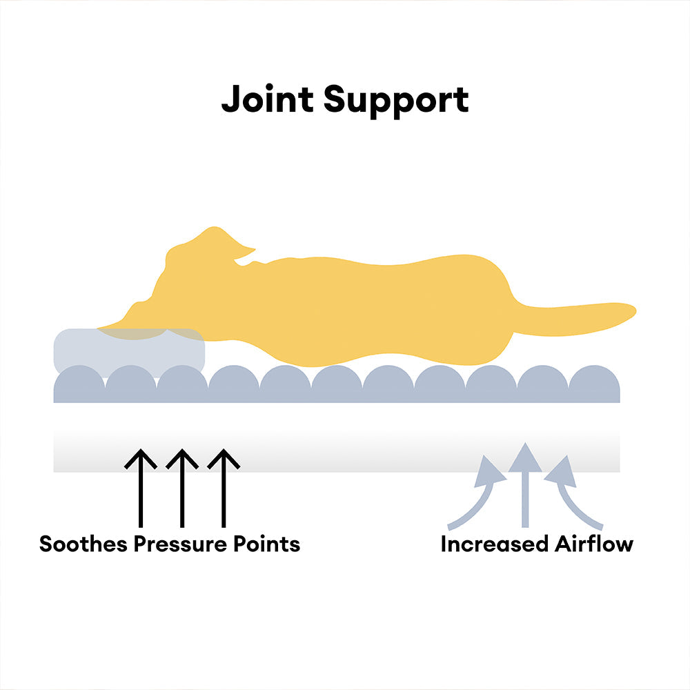 Ortopedyczna Poduszka dla Psa z Możliwością Prania – Wygodna Sofa dla Pieska, Wsparcie dla Stawów, Różne Rozmiary 4